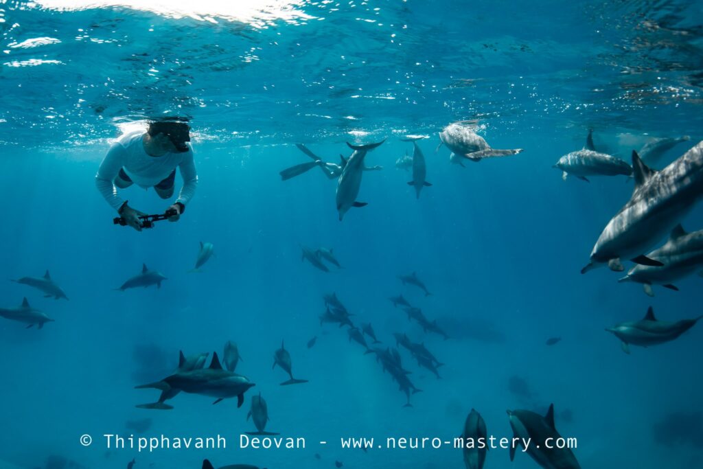 DOLPHIN RETREAT WITH THIPPHAVANH AND NEURO MASTERY