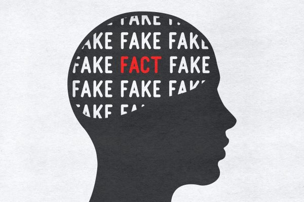 «Fake or Fact» brain in the head